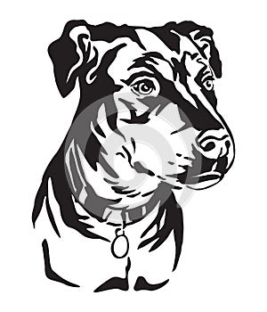 Decorative portrait of Mongrel Dog vector illustration
