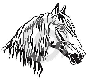 Decorative portrait of Orlov Trotter horse vector illustration