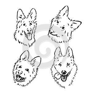 Decorative portrait in profile of dog German shepherd, vector isolated illustration in black color on white background