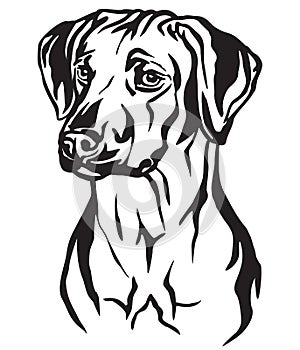 Decorative portrait of Rhodesian Ridgeback Dog vector illustration photo