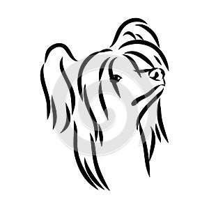 Decorative portrait of standing in profile Chinese Crested Dog, vector isolated illustration in black color on white