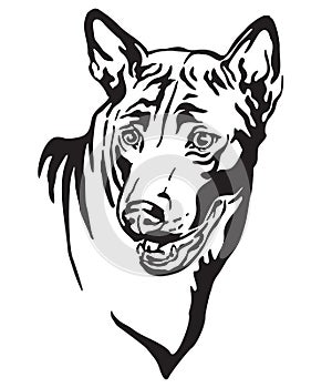 Decorative portrait of Thai Ridgeback Dog vector illustration