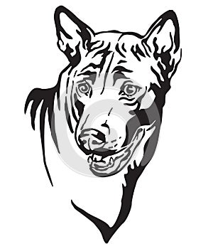 Decorative portrait of Thai Ridgeback Dog vector illustration photo