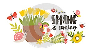 Decorative postcard template with Spring Is Coming phrase handwritten with cursive calligraphic font, blooming