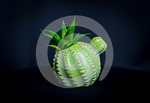 Decorative pot with cactus on a black background.