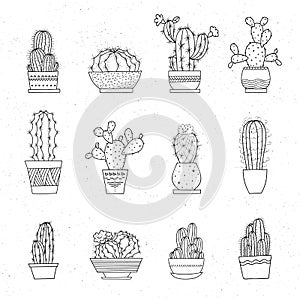 Decorative potted cacti. Vector set of hand-drawn sketched elements