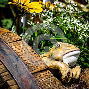 Decorative potted frog looking out of a barrel full of flowers