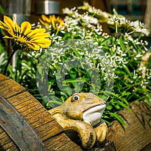 Decorative potted frog looking out of a barrel full of flowers