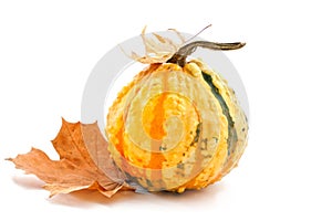 Decorative pumpkin with autumn leaves