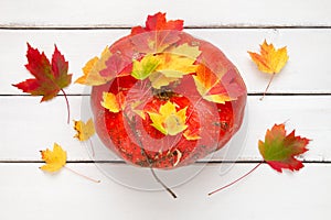 Decorative pumpkin, autumn season background