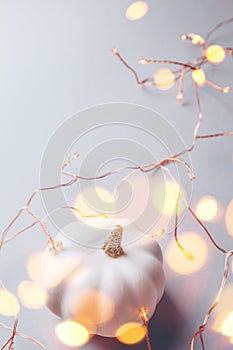 Decorative pumpkin on the grey paper background with holiday copper lights garland. Fall, gifting and Thanksgiving