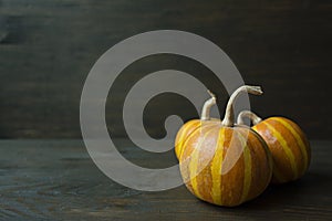 Decorative pumpkin. Halloween Still life. View from the side. Dark background. Space for text