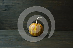 Decorative pumpkin. Halloween Still life. View from the side. Dark background. Space for text