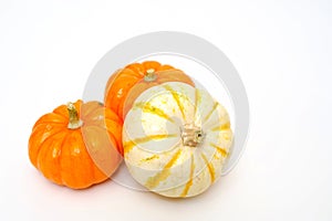 Decorative Pumpkins