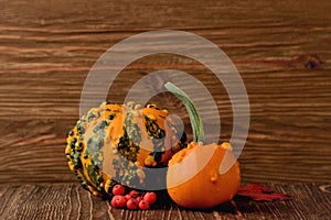 Decorative pumpkins and autumn leaves