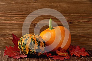 Decorative pumpkins and autumn leaves