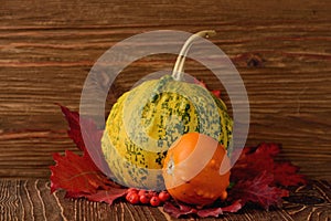 Decorative pumpkins and autumn leaves