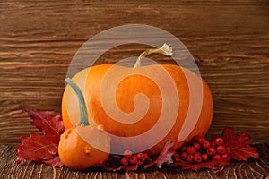 Decorative pumpkins and autumn leaves