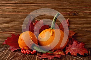 Decorative pumpkins and autumn leaves