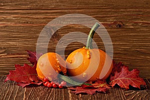 Decorative pumpkins and autumn leaves