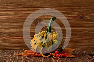 Decorative pumpkins and autumn leaves