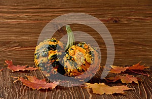 Decorative pumpkins and autumn leaves