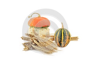 Decorative pumpkins and wheat