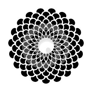 Decorative Radial Circle Black and White Pattern in Rosette Shape
