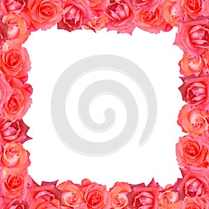 Decorative rectangular frame made of red roses flowers.