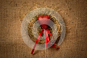 Decorative red heart on stick with ribbon in nest