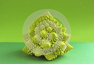 Decorative romanesco cauliflower, green background