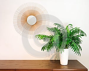 Decorative round mirror and parlor palm plant on a dresser