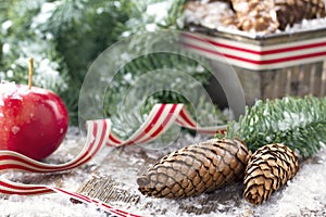 Decorative rustic Christmas setting