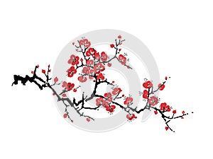 Decorative sakura blossom - Japanese cherry tree isolated on white background. Artistic branch sakura blossom. Vector