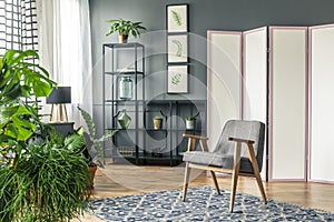 A decorative screen next to the black shelves and behind a grey chair standing on patterned rug with plants around a botanic room