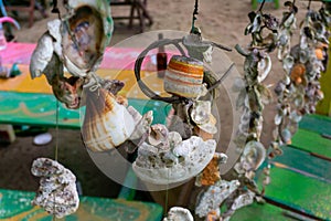 Decorative Sea Shells in Sayulita Mexico Beach.