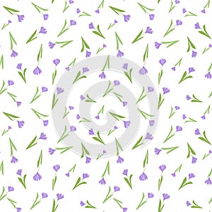 Decorative seamless pattern with violet crocus flowers cute ornament. White background. Isolated floral print