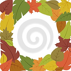 Decorative seasonal frame with different colorful autumn leaves, space fot your text. Vector