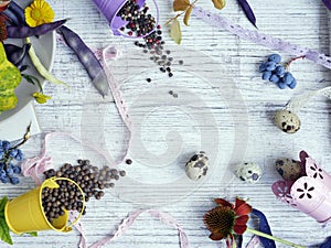 Decorative seasonal still life of quail eggs, fruits, berries, vegetables, spices on a light background