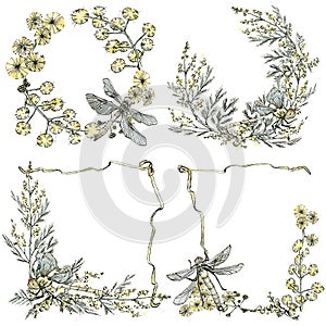 Decorative set of frames and wreathes of mimosa flowers with dragonfly. Watercolor illustration in sketch style