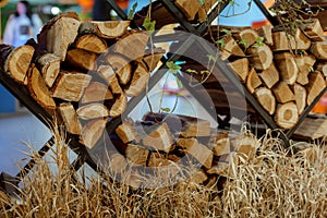 A decorative shelf with firewood stands in a large room of the house