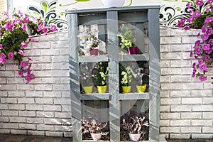 Decorative shelf with flowers and bushes of pink petunias