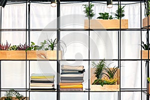 Decorative shelf on interior wall