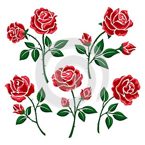 Decorative simple red roses