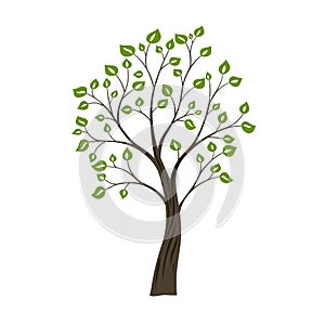 Decorative simple tree. Green nature logo concept