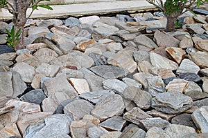 Decorative slate stones provide ground cover in a garden