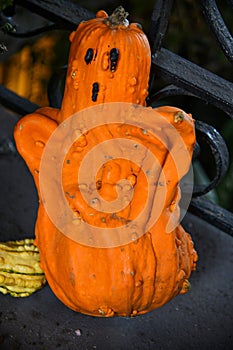 Decorative small pumpkin for Halloween celebration.