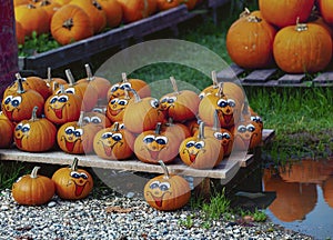 Decorative Smiling Pumpkins