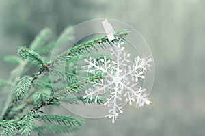 Decorative snowflake on the tree