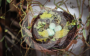 Decorative spotted bird eggs in nest wth moss and vines